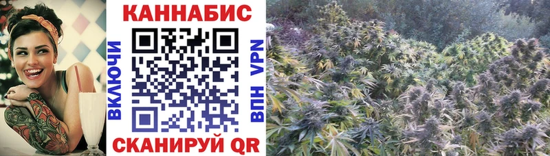 Купить закладки Тимашёвск Конопля Bruce Banner